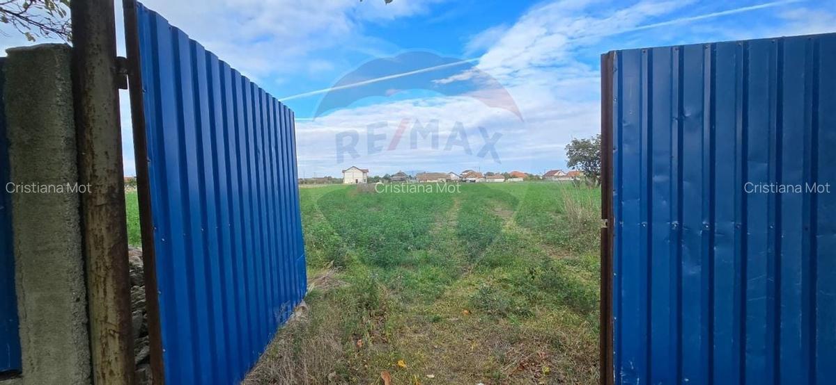 Teren si casa cu teren generos in Socodor - 16 Teren si casa cu teren generos in Socodor - 16