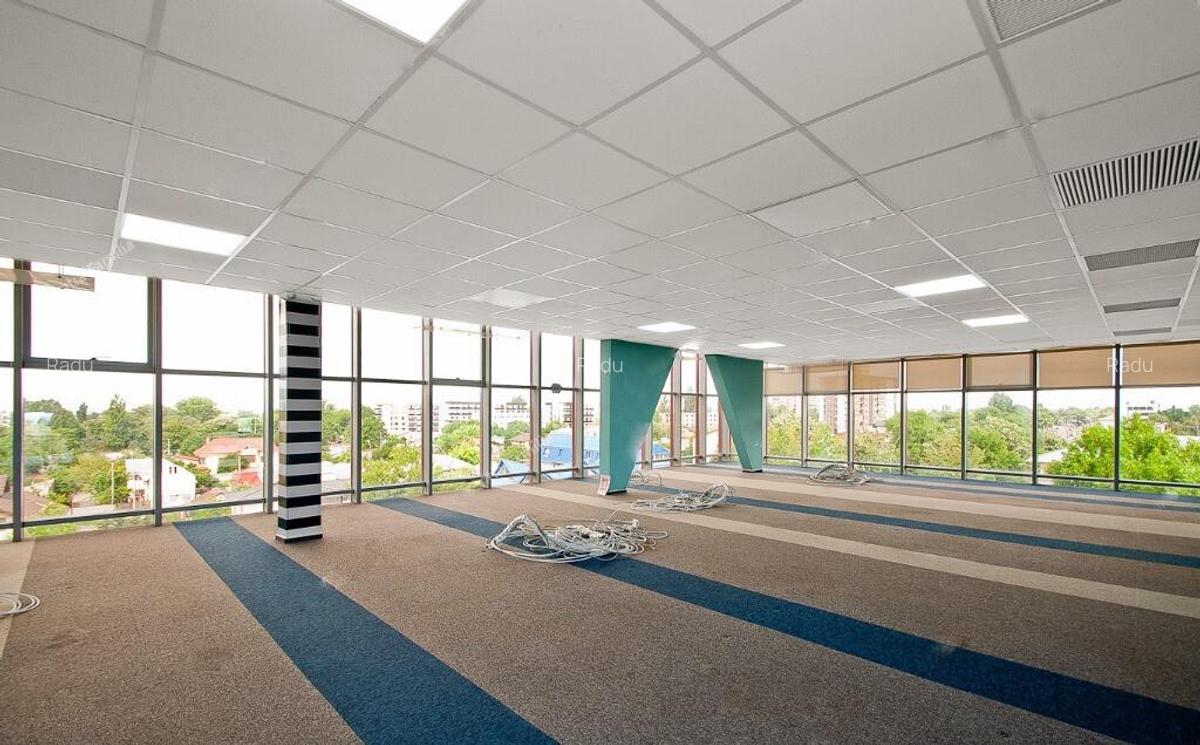 Bulevardul Cosbuc 116-118 - MaxFit - Birouri Premium - 13