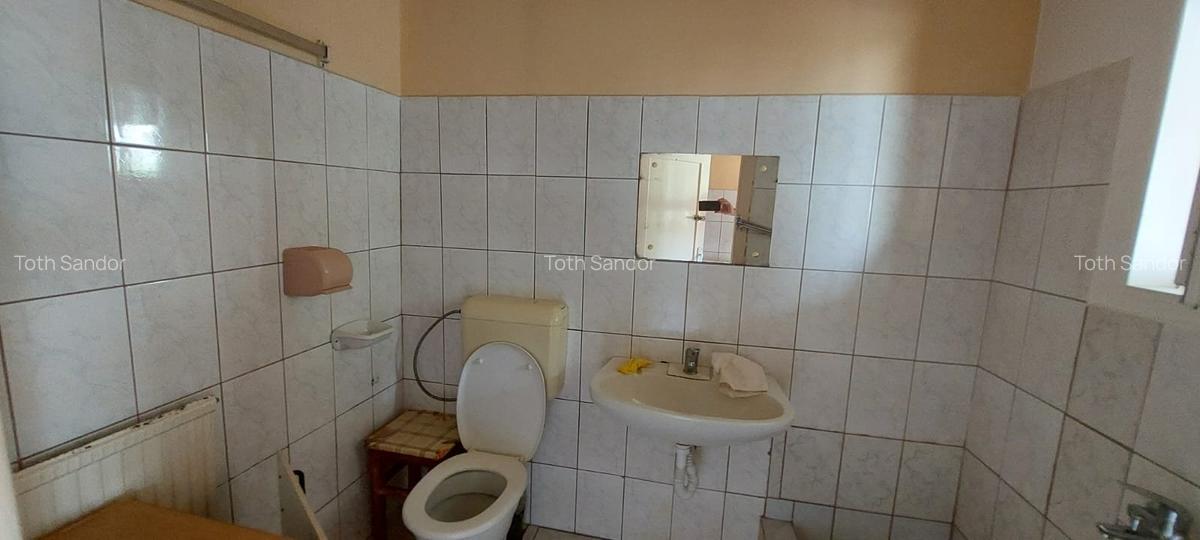 De vanzare casa singur in curte , zona Libertatii - 4