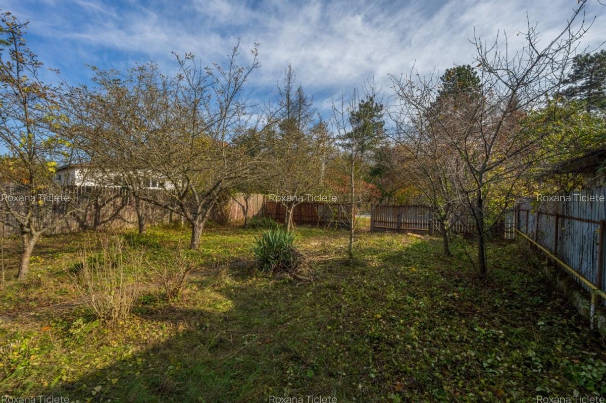 SNAGOV – CENTRAL, CASA 144 MP, LOT 1000 MP! - 5