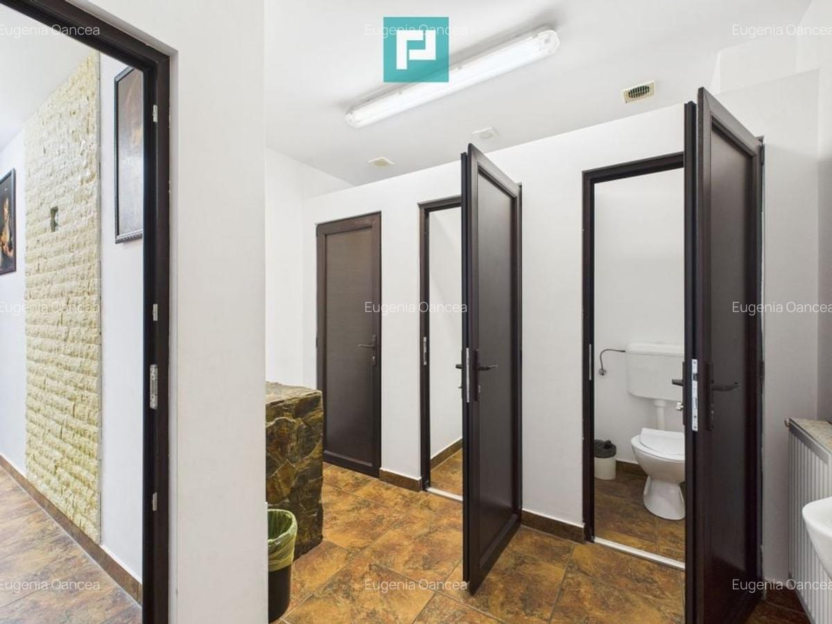 Pensiune la Orțișoara - 17