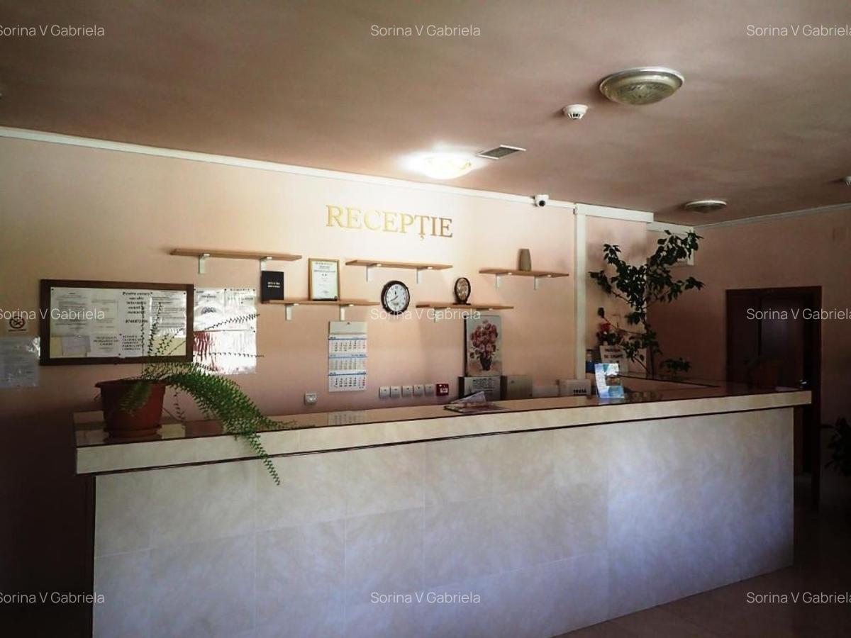 Pensiune functionala arhitectura deosebita Buzias - 8