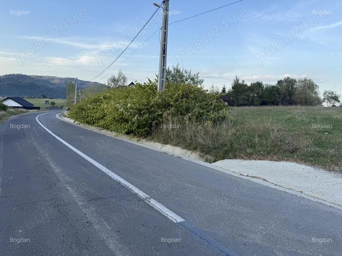 Teren intravilan 500 sau 1000 mp Bran-Tohanita la dum asfaltat - 12
