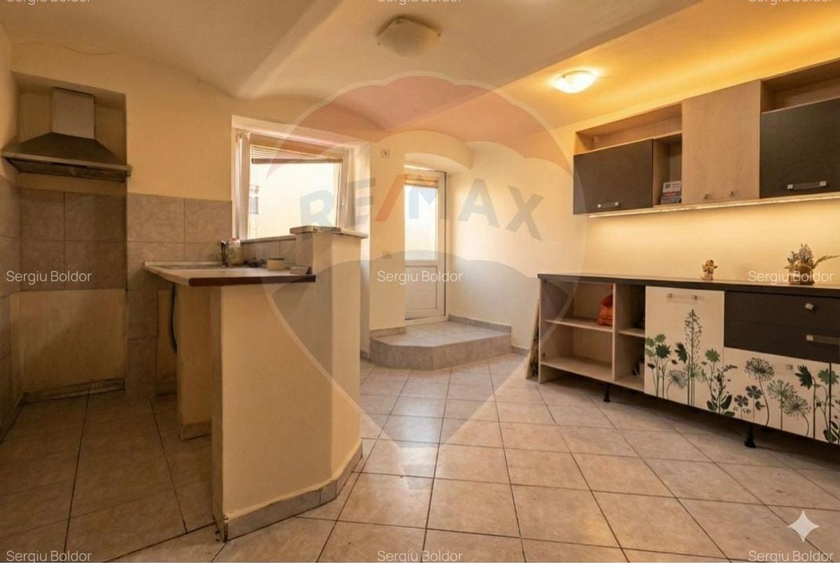 APARTAMENT 1 CAMERA, DEMISOL - ZONA PIATA MARIA, TIMISOARA - 7