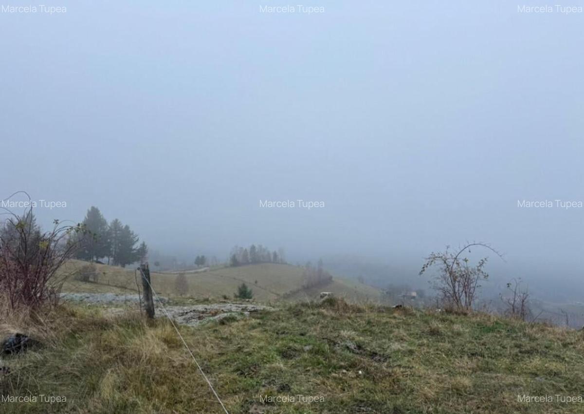 Teren Poiana Marului -Zarnesti -Brasov - 4