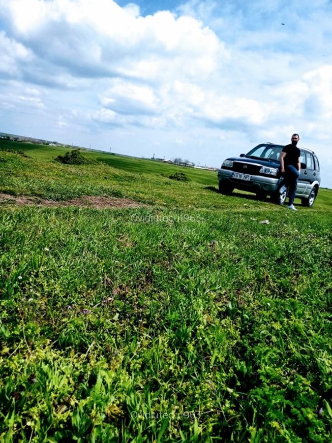 Vand domeniu compus din 8000mp,cu padure ,zona deal-munte Valea iasului Ages - 4