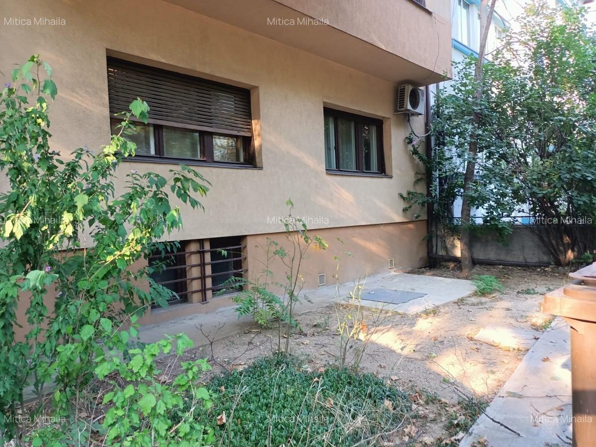 Apartament Titulescu- Banu Manta - 9
