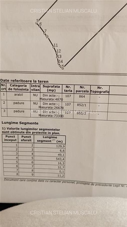 Padure de vanzare zona Comuna Draganesti sat Hatcarau - 6