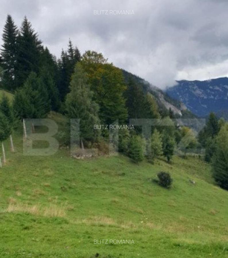 Teren 13.570 mp, Moieciu Pestera - 28