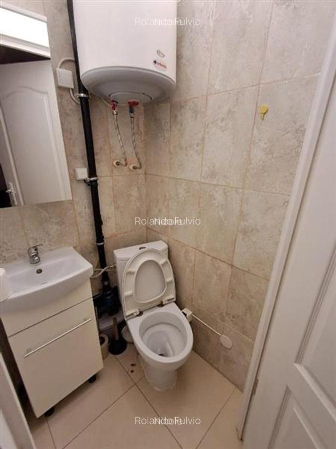 Vanzare garsoniera Mosilor in vila - 7