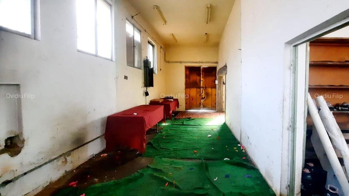 Spațiu industrial, 250 mp în Carierei - 12