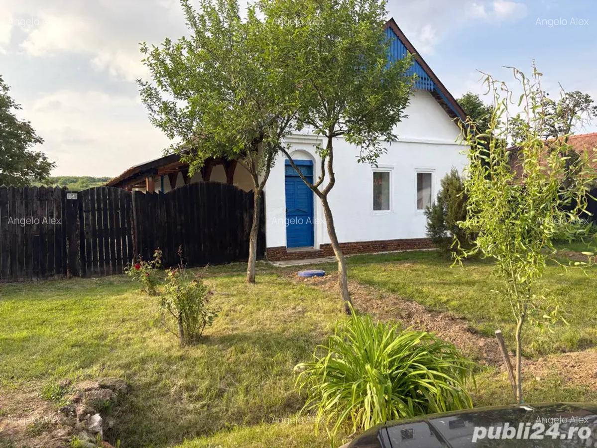 Casa renovata Balint - 1
