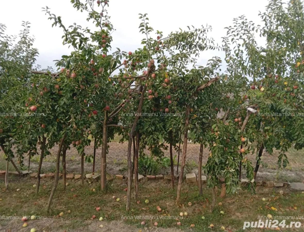 Vand casa caramida an 2000 - 6