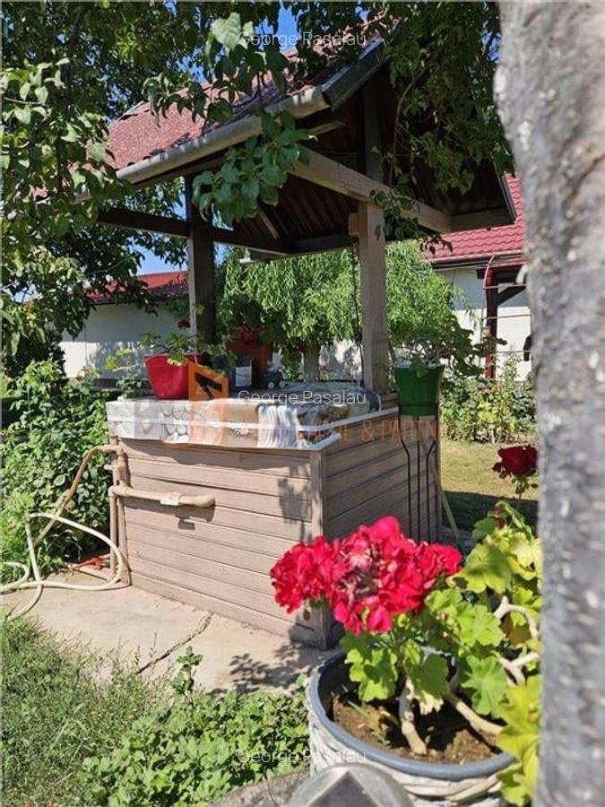 Casa tip parter + beci si teren 4684 mp in Candesti, Vernesti - 14