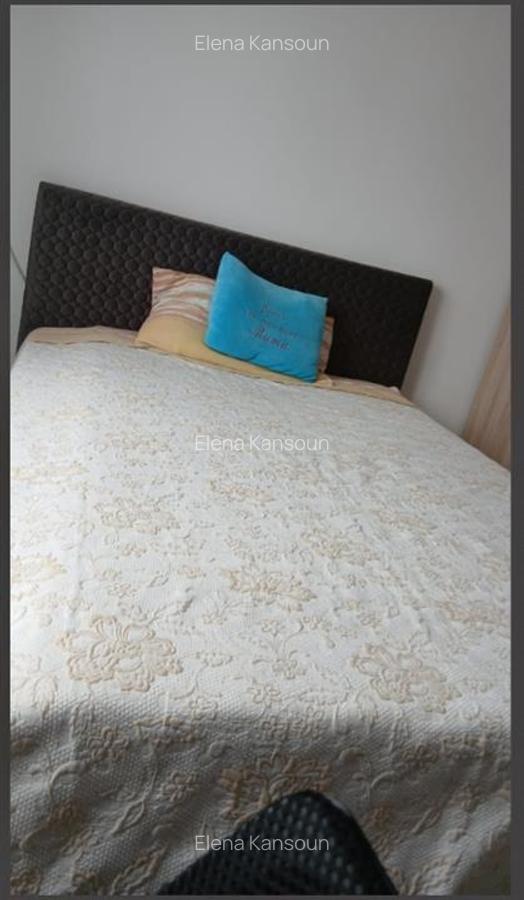 Garsoniera  mobilata  recent renovata - 4