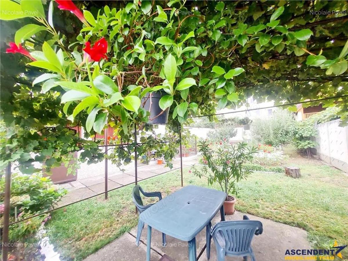 Poveste saseasca la umbra vitei de vie, cu crama si gradina cu flori, Central Codlea - 5