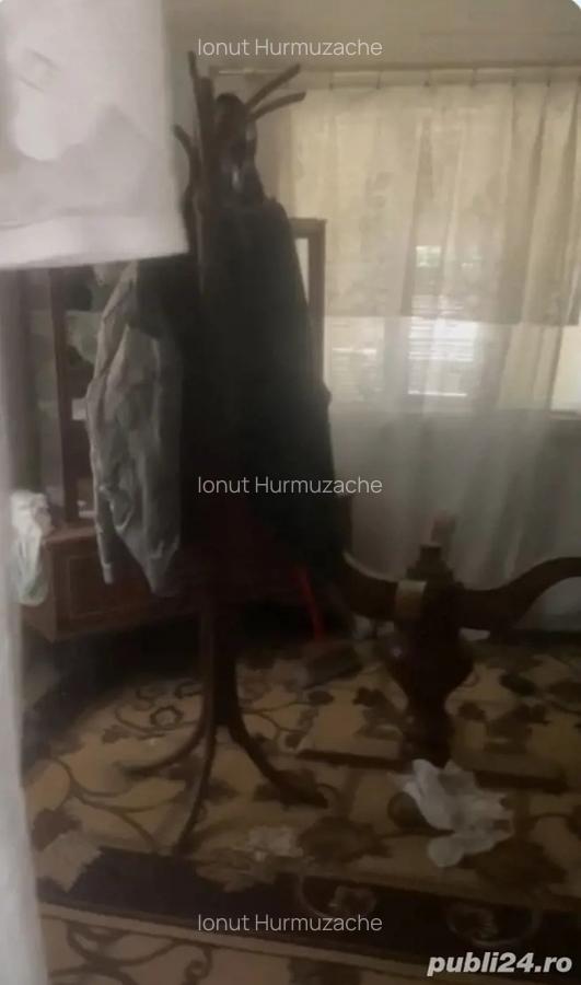 2 case 8 camere 1700m2 - 2