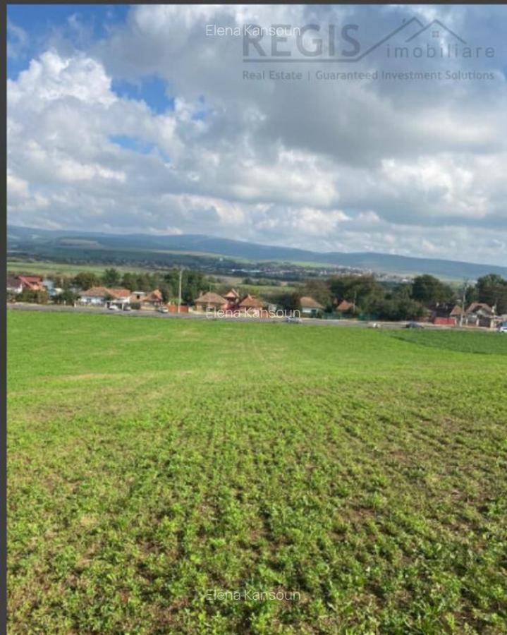 Teren extravilan Feldioara - 3