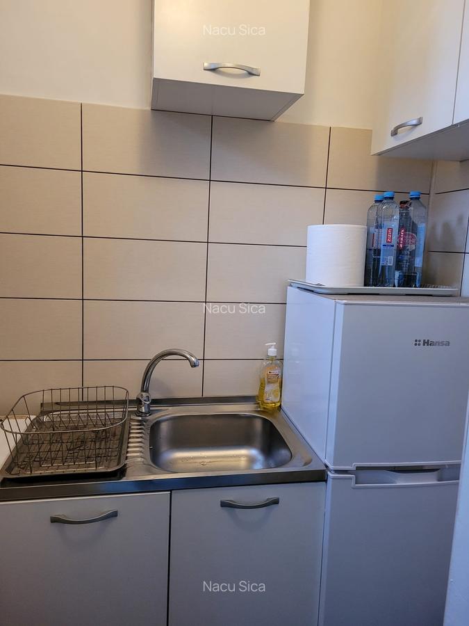 Garsonieră semidecomandată, mobilată în Brâncoveanu - 9