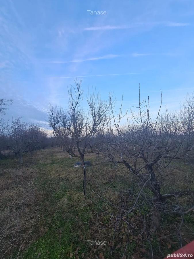 Vand casa 3 camere snagov 70 metri teren 325 la 110000 euro - 3