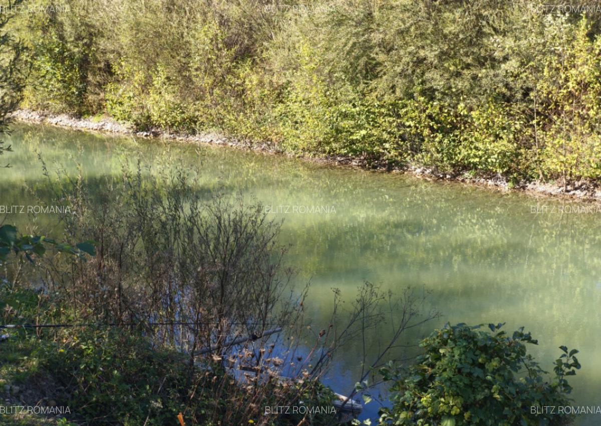 Teren imprejmuit cu iaz indiguit, 7200mp, Fratautii Vechi, R - 4