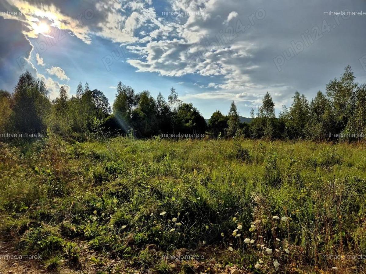 Teren cabana de vacanta Comision 0% - 7