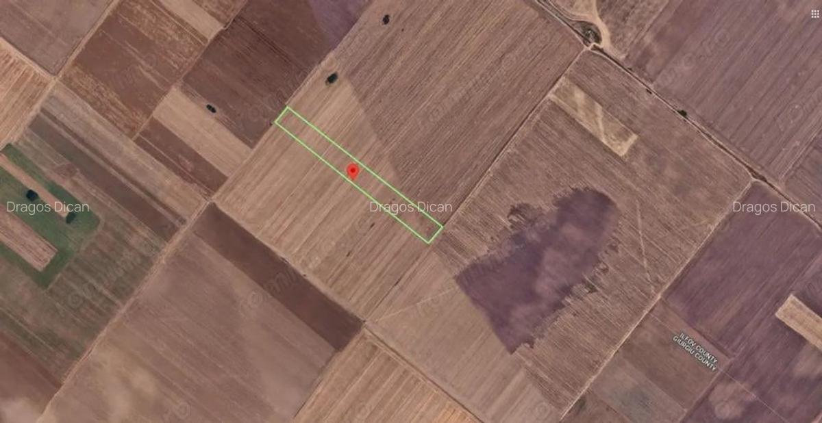 Teren Extravilan In Rate Primaverii Com. Berceni | 6304mp | #EG44 - 1