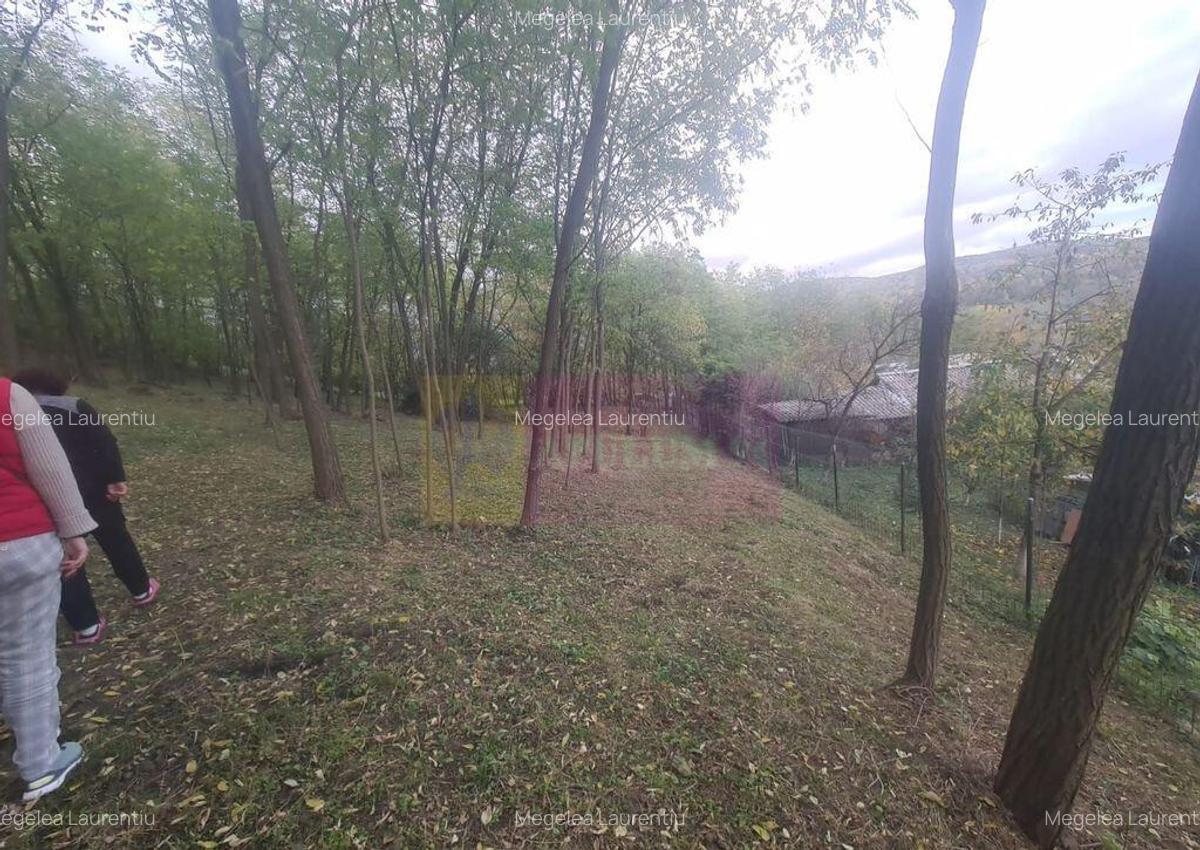 Casa batraneasca cu teren (4.910 mp) la Alunis - 17