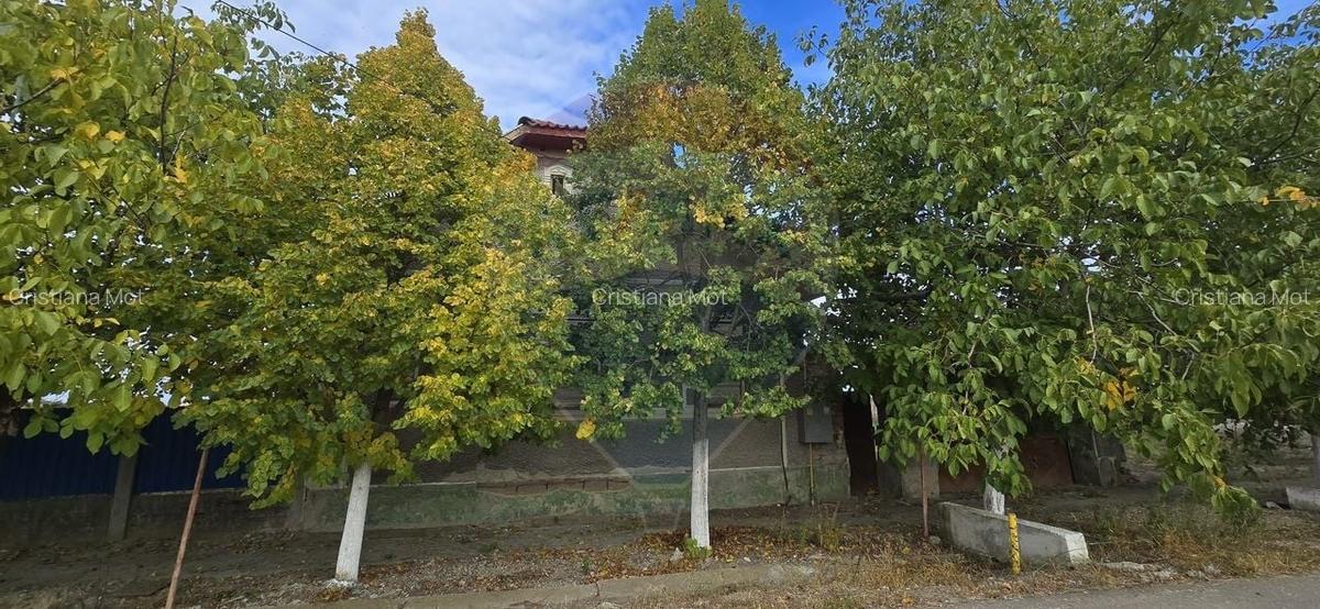 Teren si casa cu teren generos in Socodor - 10 Teren si casa cu teren generos in Socodor - 10