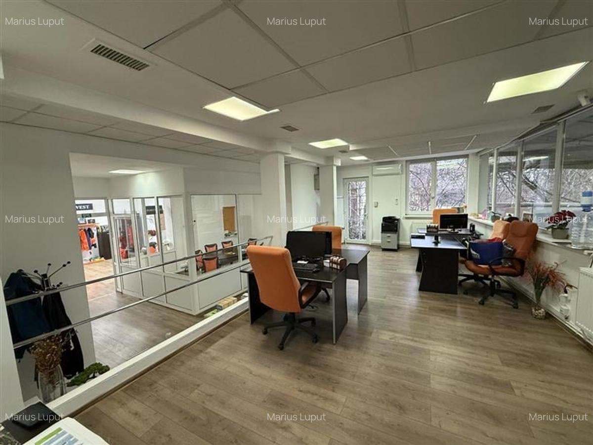 Cladire multifunctionala SAD, 750 mp utili, Semicentral - Timisoara - 11