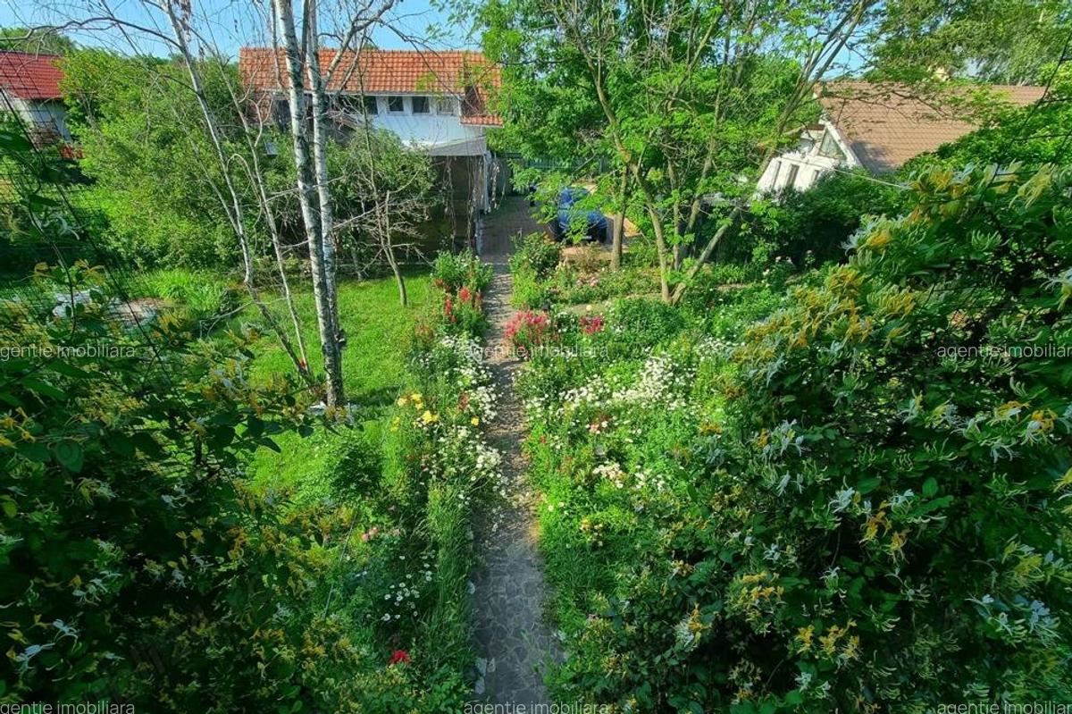 Vanzare vila 6 camere 264mp + garaj + garsoniera separata + 1490mp Centru Snagov Ilfov Nufarului 50A - 9