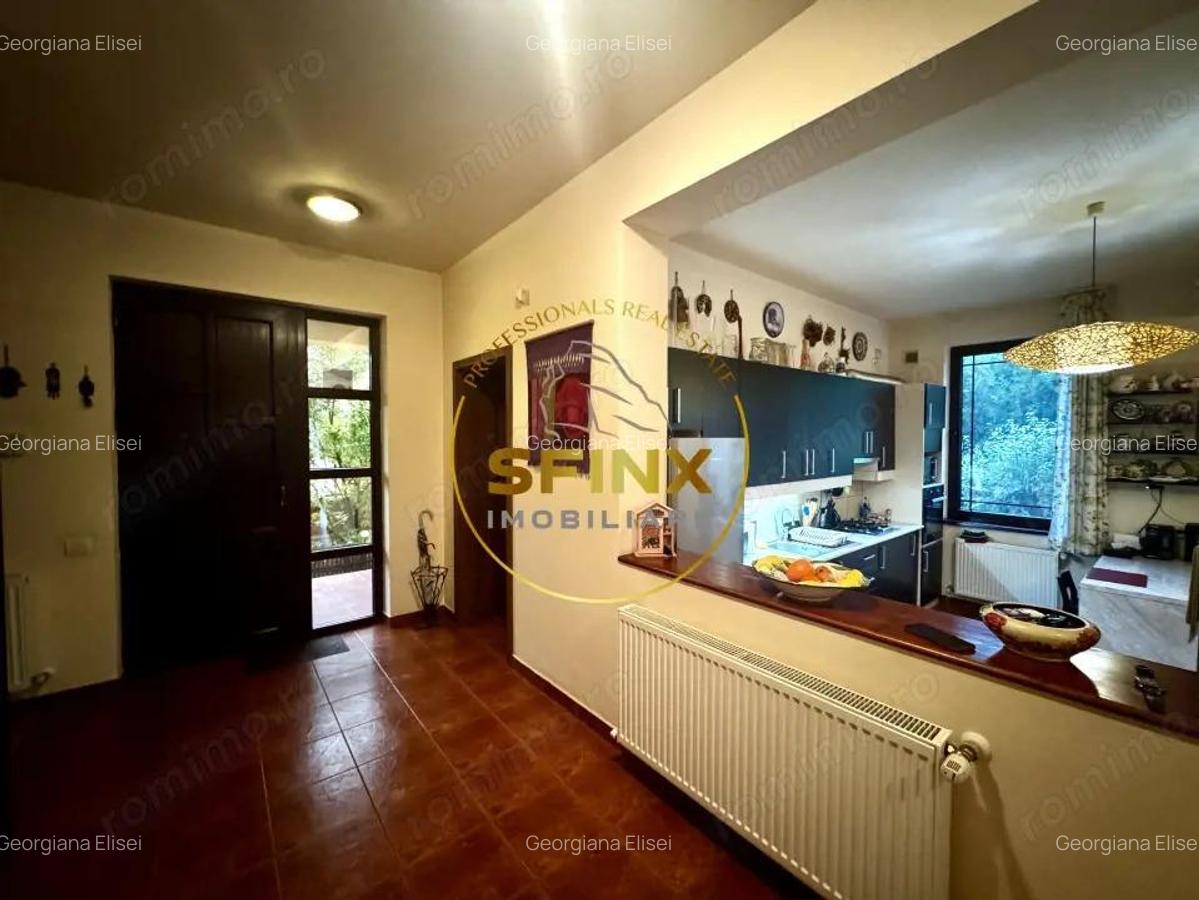 Casa 6 Camere, gradina spectaculoasa, Erou Iancu Nicolae - 12