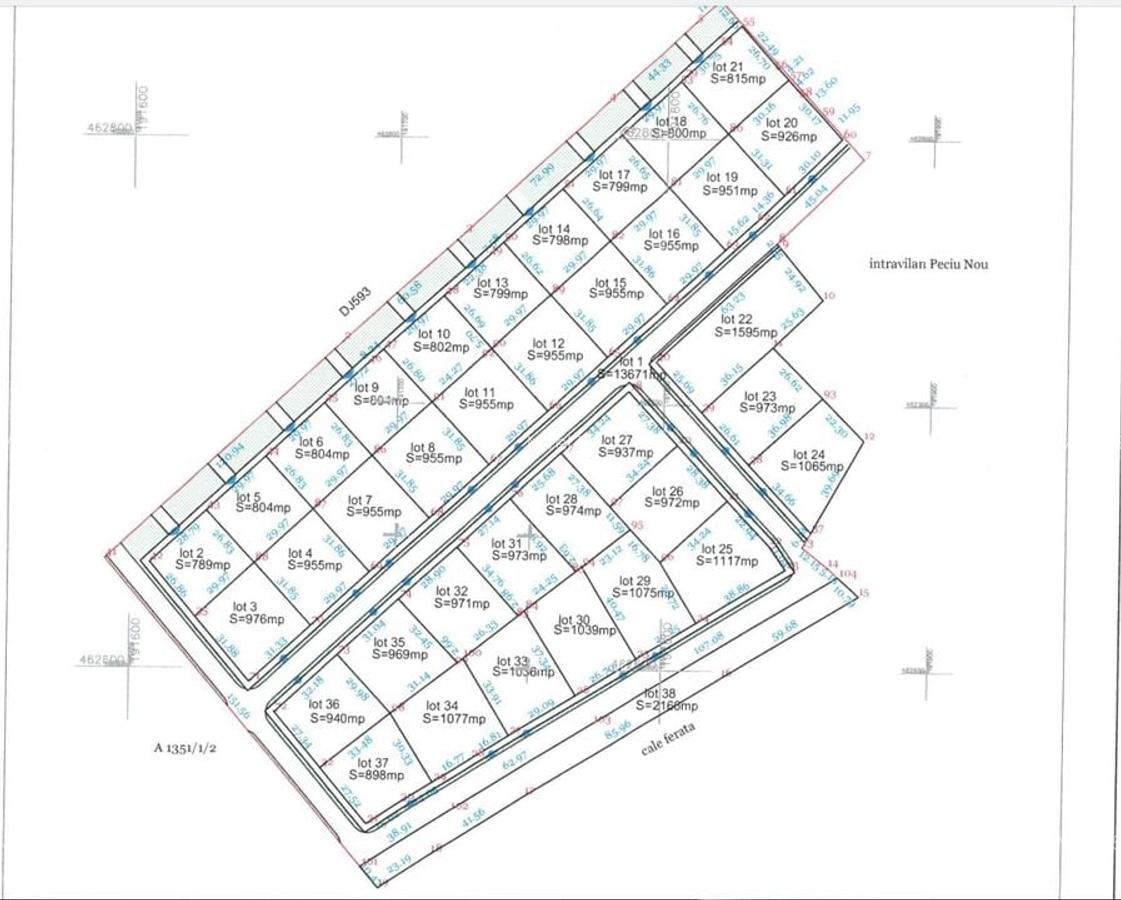 Parcele pentru constructie case - Peciu Nou- - 3