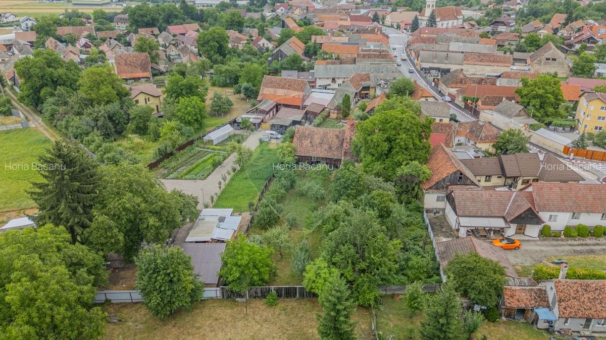 Comision 0 | Casa cu 3 camere, teren 1541 mp, livada, beci si garaj - 27