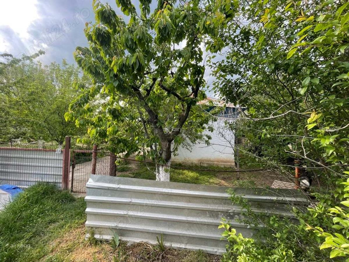 Casa de vanzare batraneasca - 5