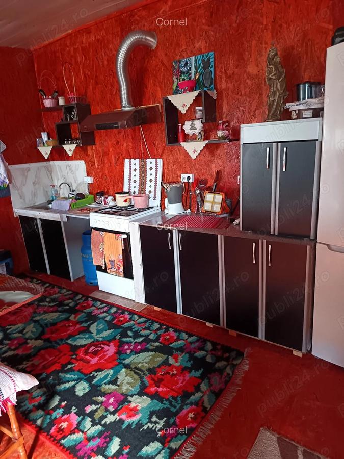 Vind cabana de vacanta in jud.Arges - 8