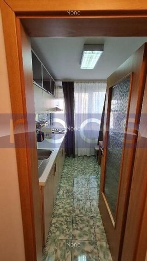 VANZARE APARTAMENT 2 CAMERE BABA NOVAC CAMPIA LIBERTATII VEDERE SUPERBA - 10