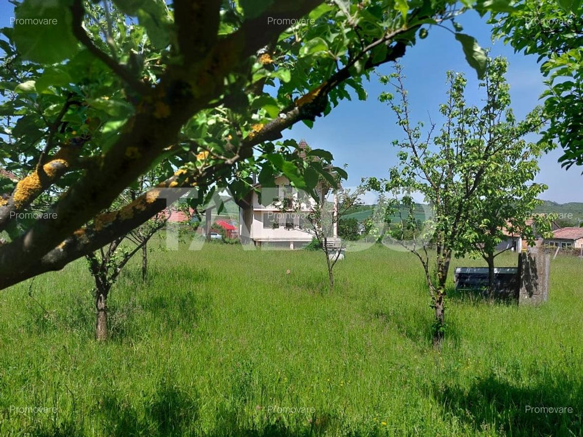 Casa individuala 5 camere cu teren 2000 mp Sura Mare Hamba Sibiu - 3