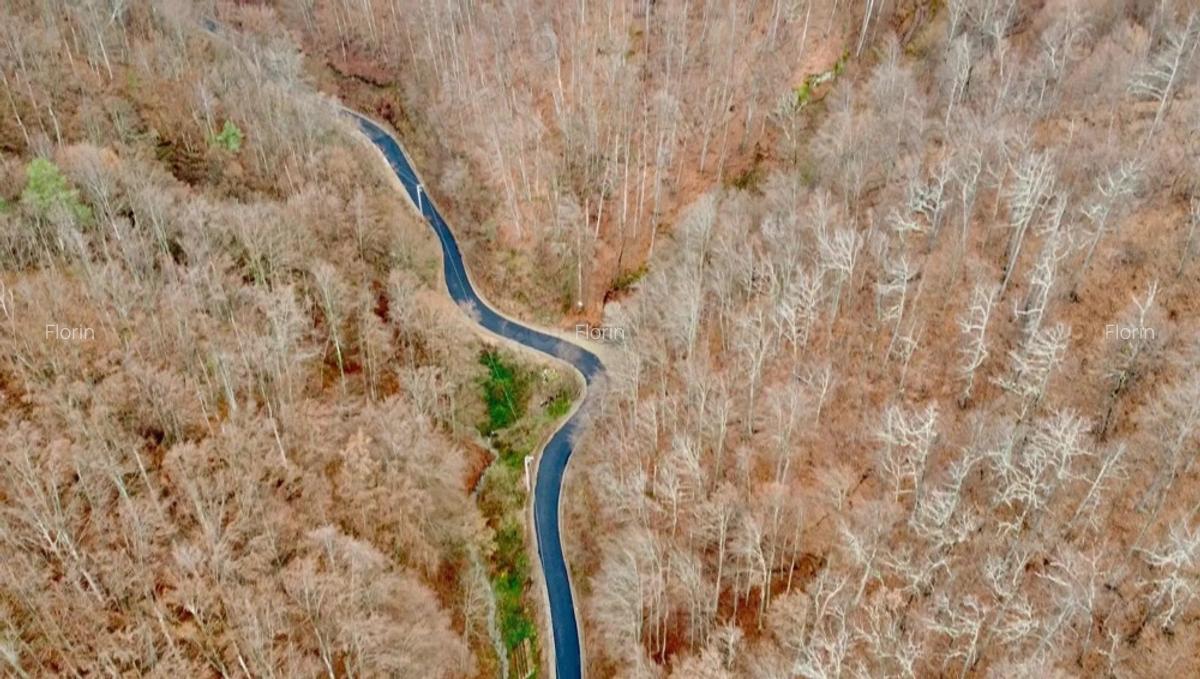 Casa si teren generos de vanzare-Olanesti(sat Tisa) - 8