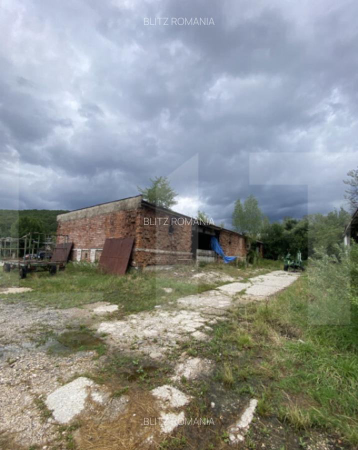 Proprietate industriala multifunc?ionala cu poten?ial fo - 11