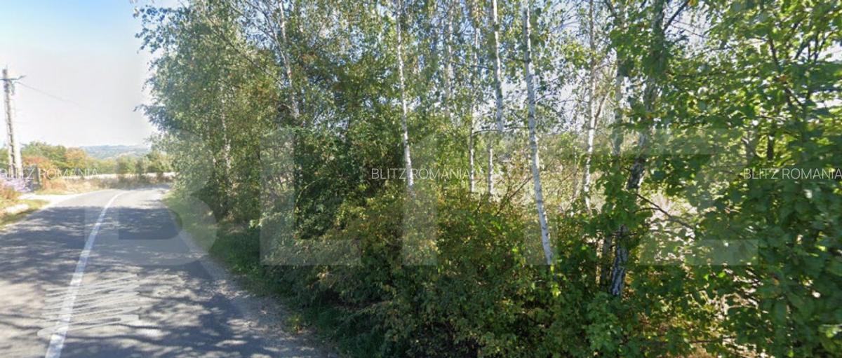 EXCLUSIVITATE! Teren intravilan, constructii, 990 mp, Rasca! - 1