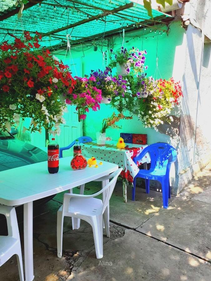 Casă de vânzare în Aradul Nou - 4