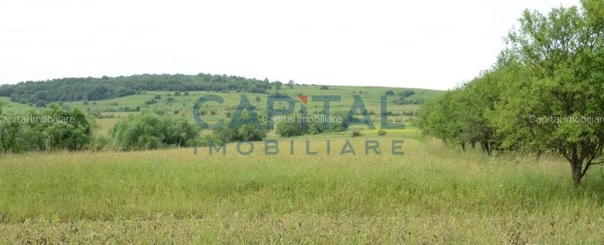 Casa de vanzare cu potential de investitie, Aghiresu - 2