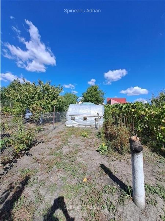 Casa individuala  Mehala aproape de Piata -Profi, 22 m front stradal - 5