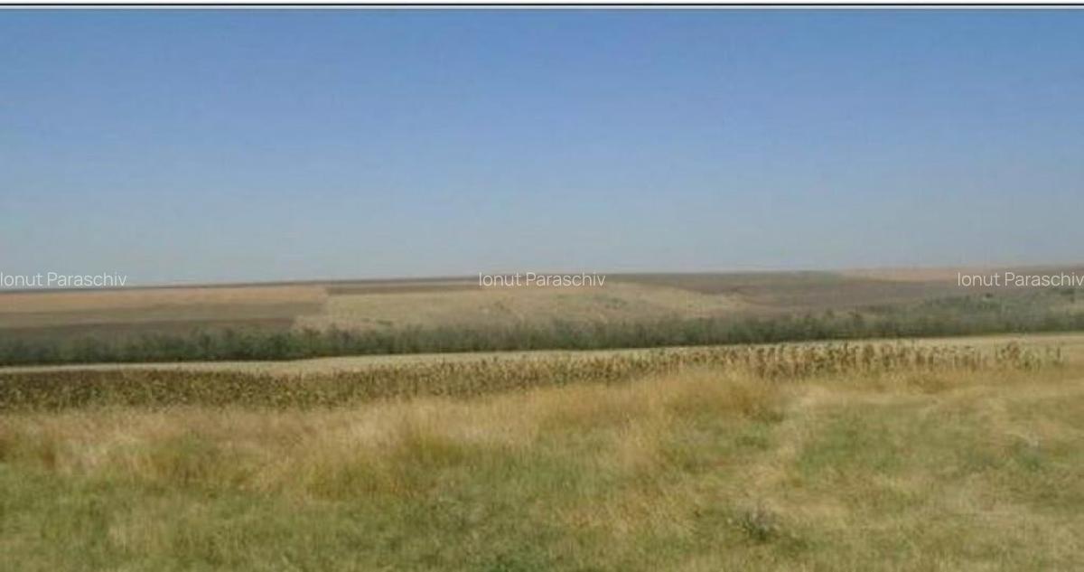 Teren Extravilan cota parte 1/4, Varlezi, ID: R2730256 - 9