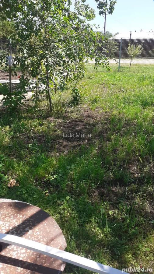 Vand casa cu teren 800mp in Mosteni jud Teleorman - 4