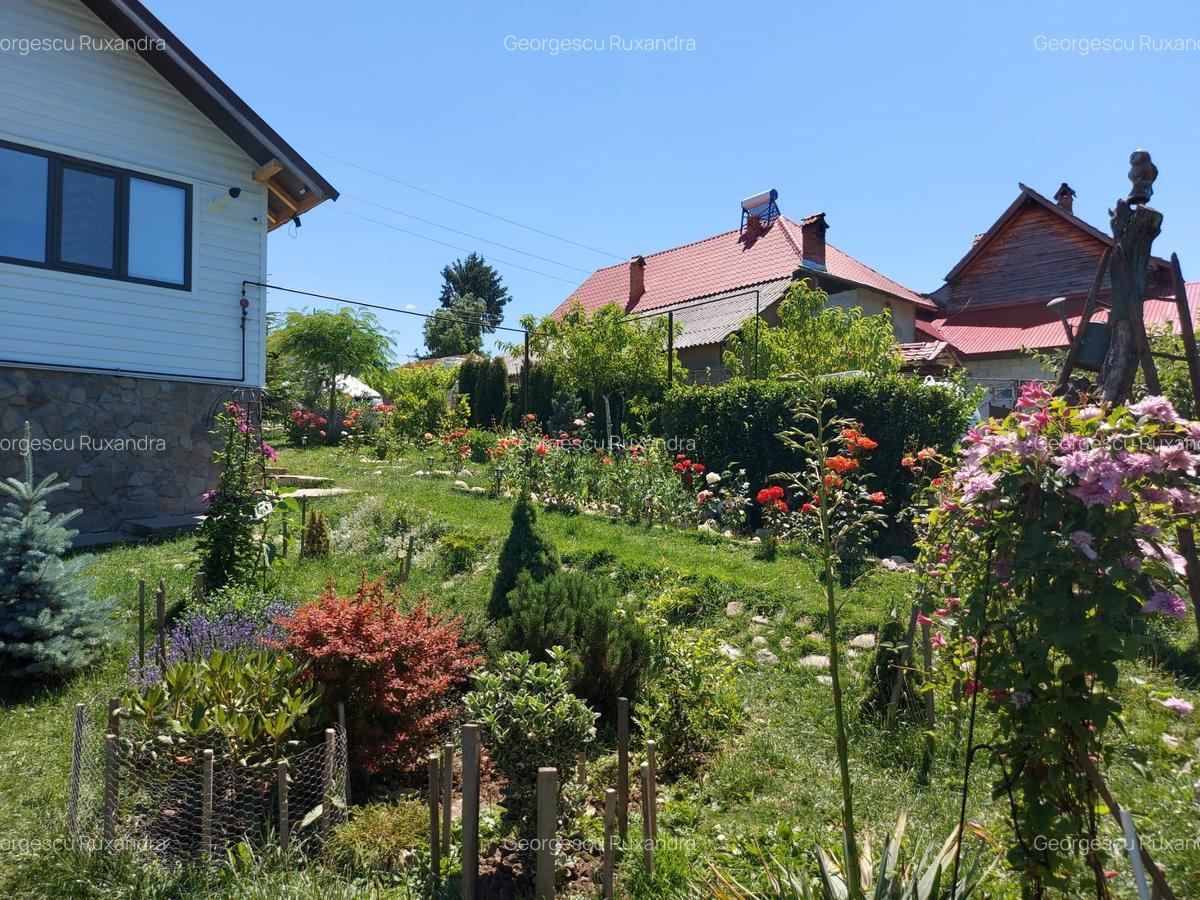 Casa individaual renovata, curte amenjata Boteni de Arges - 18