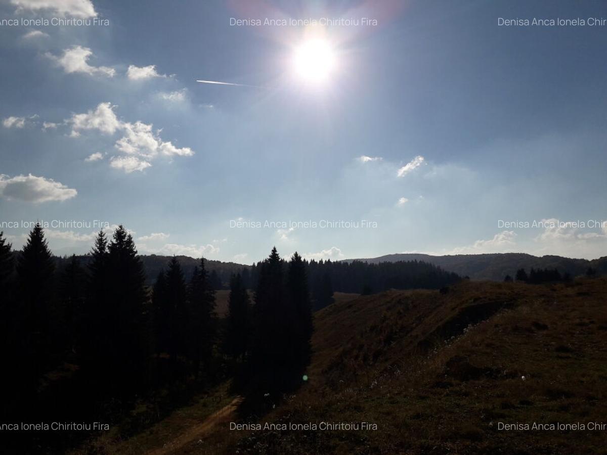 Ocazie unica la licitatie: Teren cu Potential Turistic Major in Poiana Brasov - 6