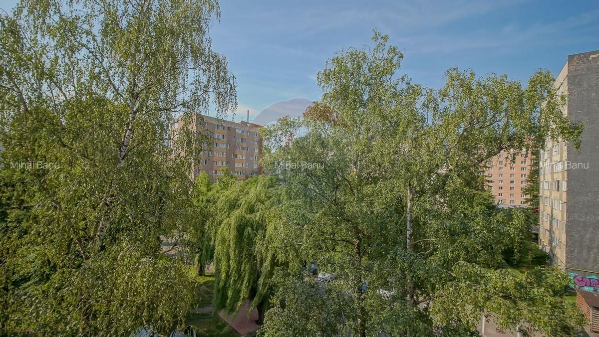 Garsoniera luminoasa,decomandata, bloc de apartamente, strada Soarelui - 8