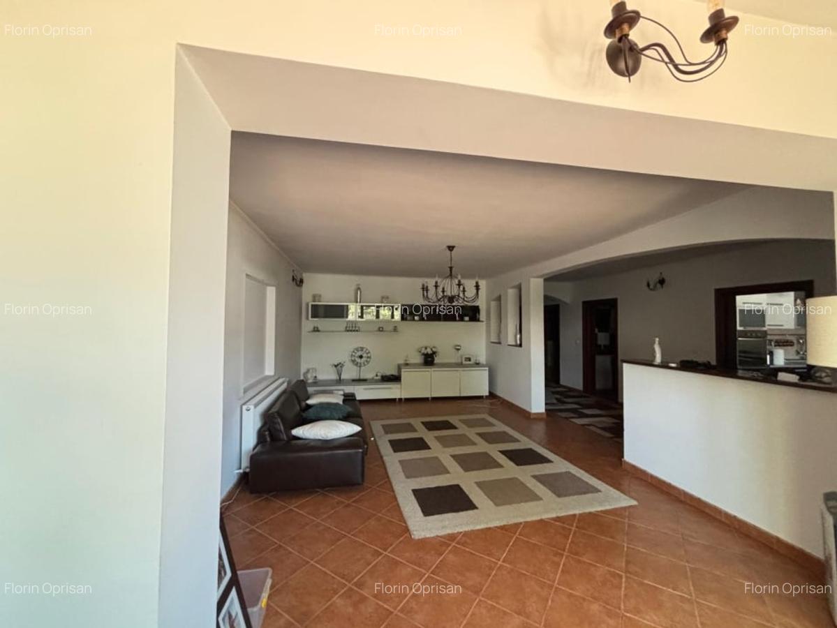 CASA  DE VANZARE IN GAROAFA ( E85) - 9